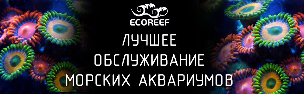 обслуживание мрских аквариумов
