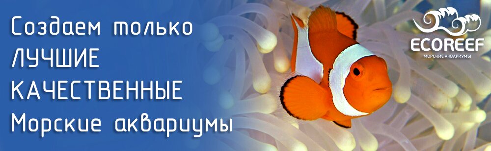 создание мрских аквариумов